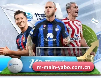 m-main-yabo.com.cn APP 深度功能
